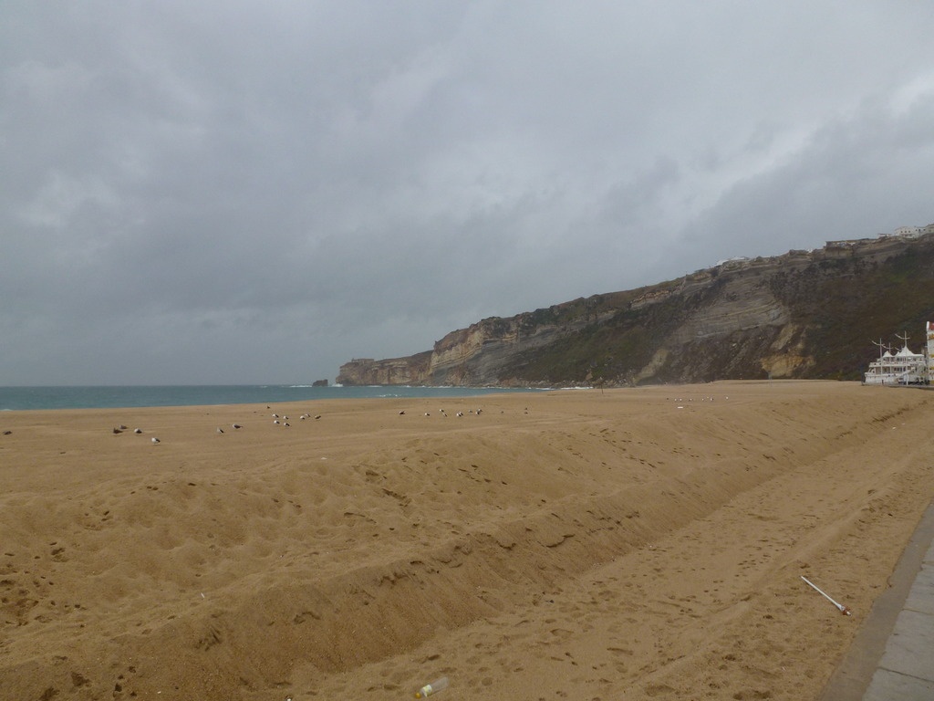 2011-10 Portugal/Figueira da Foz/P1000276.JPG